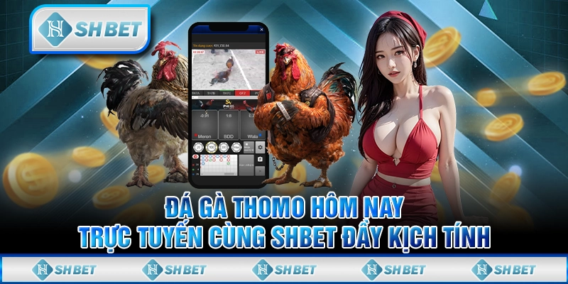 đá gà trực tiếp - trực tiếp đá gà thomo SHBet